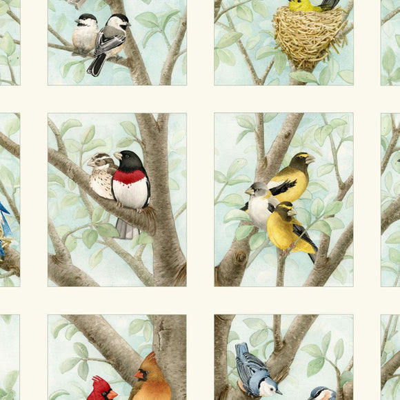 Beautiful Birds Frames Fabric BTY