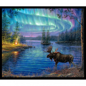 Northern Lights Moose 35" x 43" Digital Panel